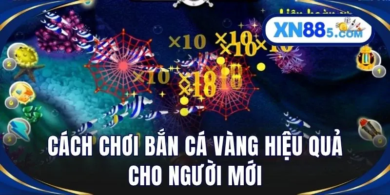 Cách chơi bắn cá vàng hiệu quả cho người mới